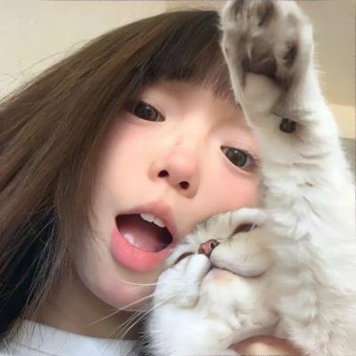 怪猫